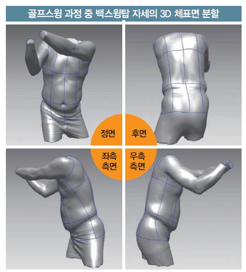 화성에프엔씨/그래픽=이민자