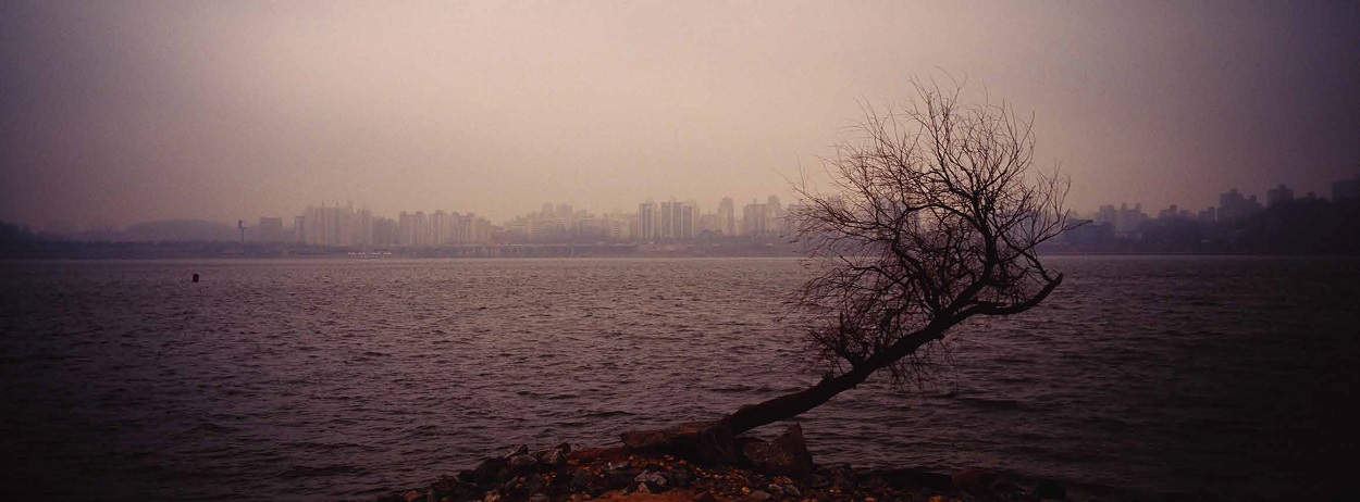 이현권-서울, 한강을 걷다 2010-2020