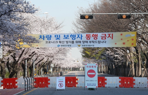 코로나19 영향으로 여의도 윤중로 벚꽃축제가 전면 취소된 6일 서울 여의도 윤중로 벚꽃길이 출입통제 되고 있다.