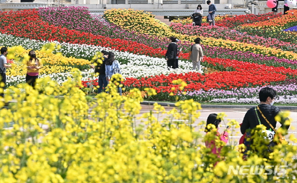 경기도 용인 에버랜드 포시즌 가든에서 시민들이 유채꽃과 튤립을 감상하고 있다. 뉴시스