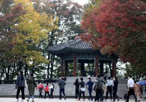 가을의 끝자락 알리는 서울 남산의 단풍