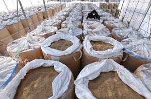 장마‧코로나가 부른 쌀값 폭등에 정부 비축미 또 푼다