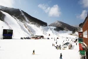 부영그룹 오투리조트, 스키 패키지 할인 선보여