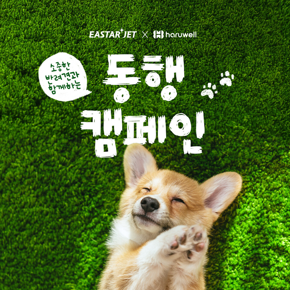 이스타항공이 ‘반려견 동행 캠페인’을 진행한다.<이스타항공>