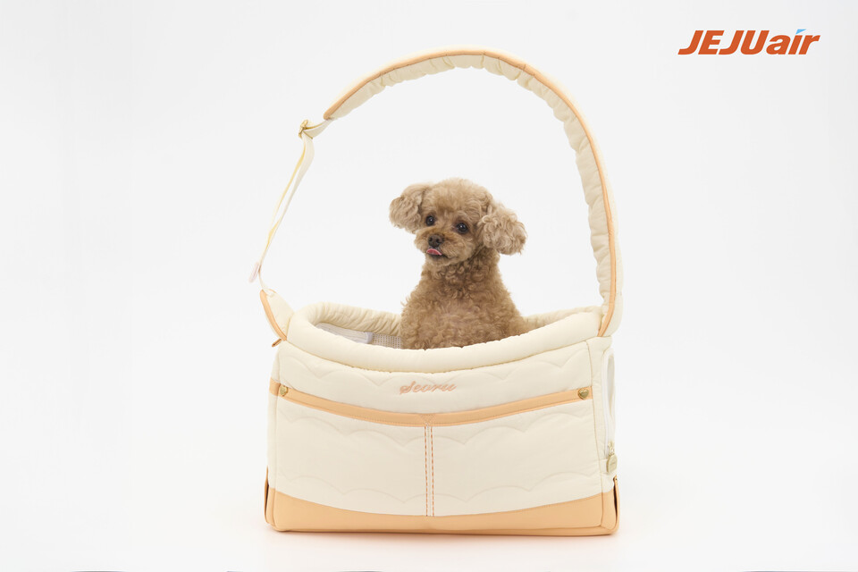 제주항공이 펫팸족(Pet+Family) 수요를 겨냥해 반려동물 운송 서비스를 확대한다.<제주항공>