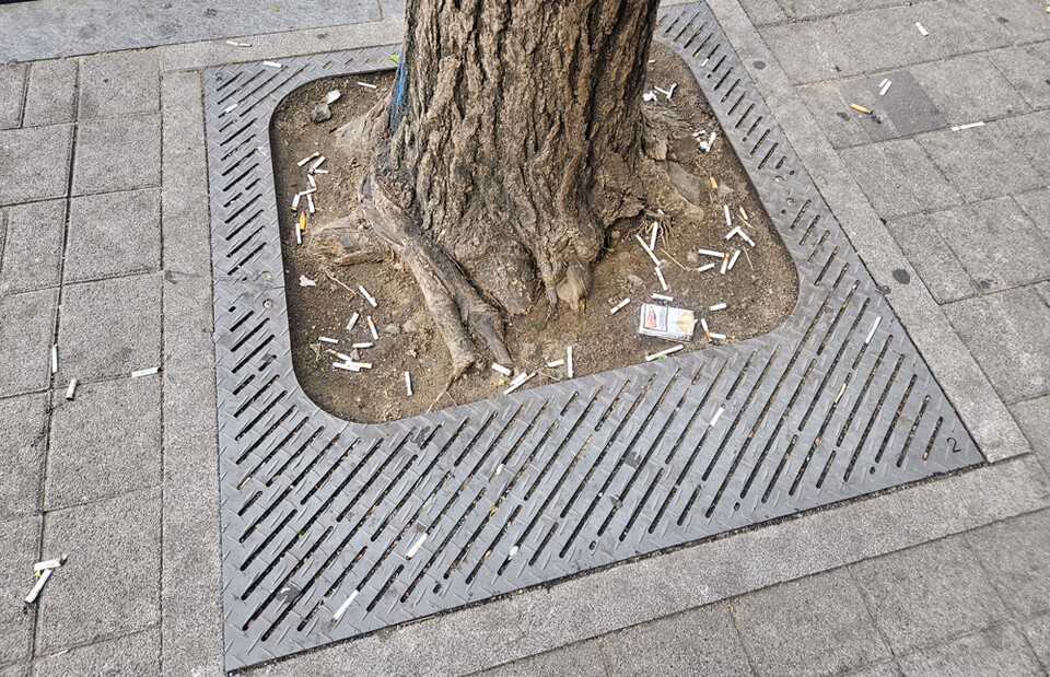 27일 여의도 일대 심어진 가로수 주변으로 담뱃갑과 담배꽁초가 널려 있다. <김경애>