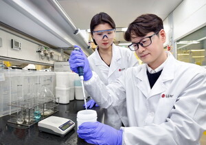 LG는 칩 소재, 삼성은 전력... K화학·상사, AI 붐 타고 불황 뚫는다 - 뉴스 썸네일 이미지